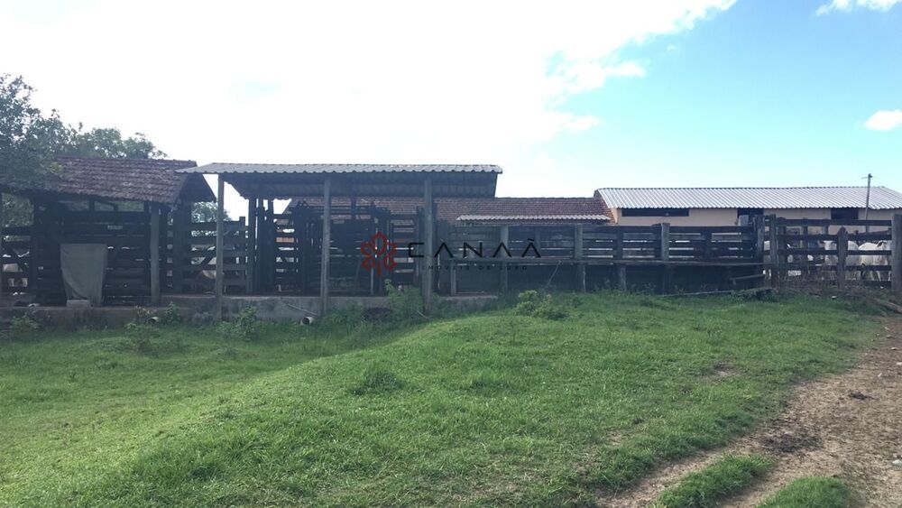 Fazenda-Sítio-Chácara, 252 hectares - Foto 27