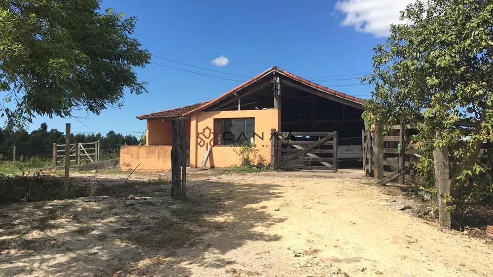 Fazenda-Sítio-Chácara, 252 hectares - Foto 1