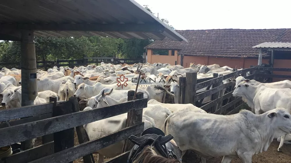 Fazenda, 252 hectares - Foto 19