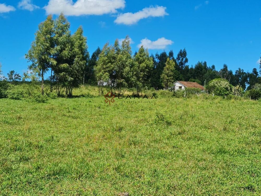 Fazenda-Sítio-Chácara, 252 hectares - Foto 8