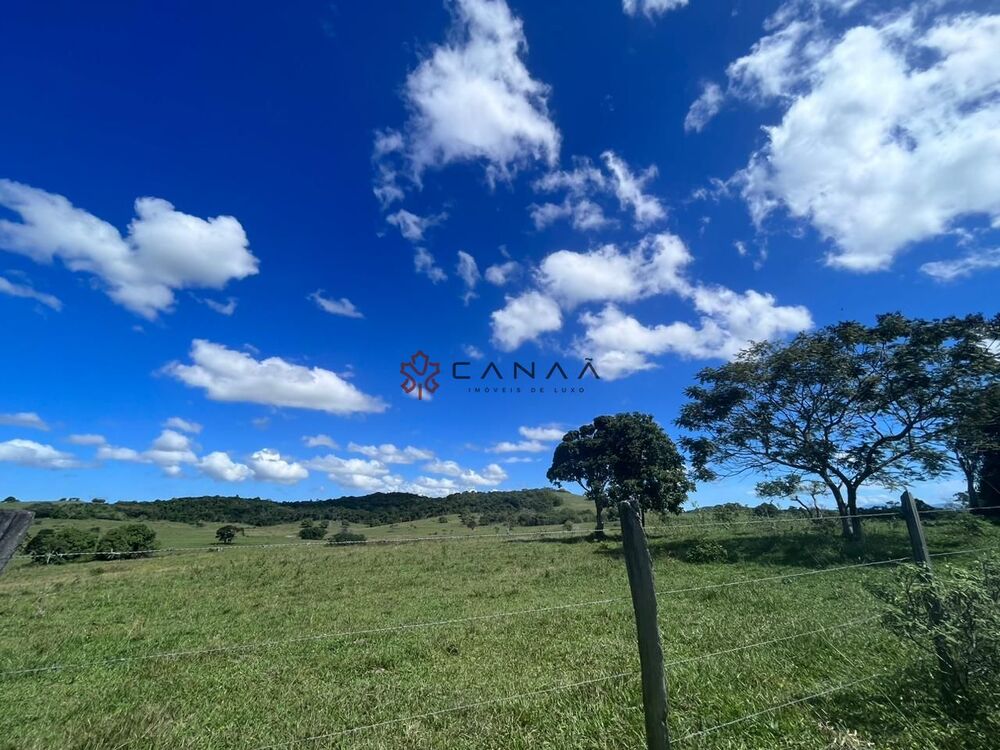 Fazenda-Sítio-Chácara, 252 hectares - Foto 6