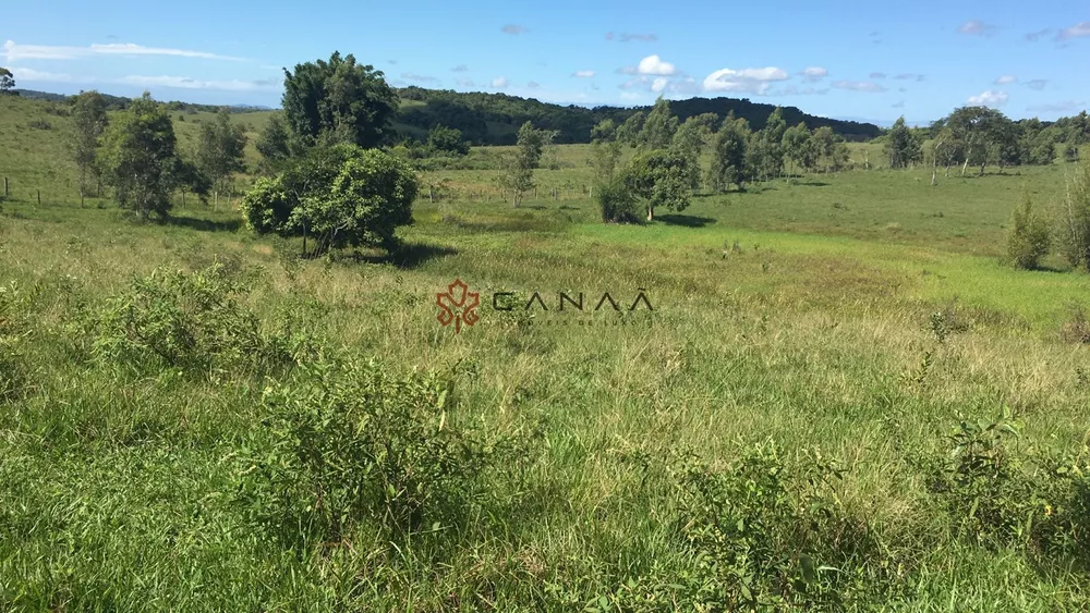 Fazenda, 252 hectares - Foto 4