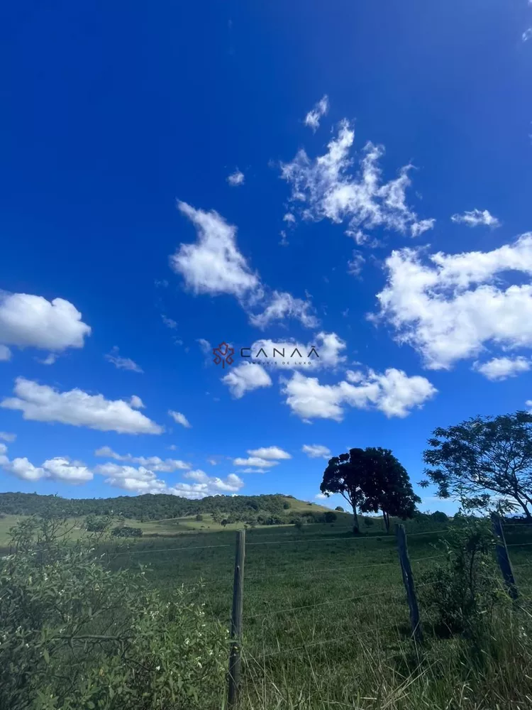 Fazenda, 252 hectares - Foto 24