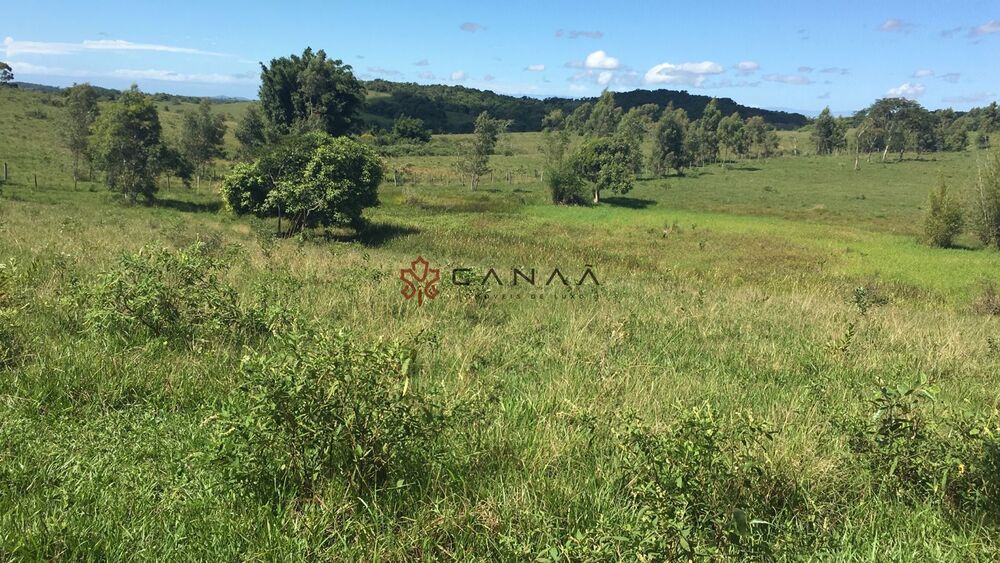 Fazenda-Sítio-Chácara, 252 hectares - Foto 14