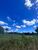 Fazenda-Sítio-Chácara, 252 hectares - Foto 1