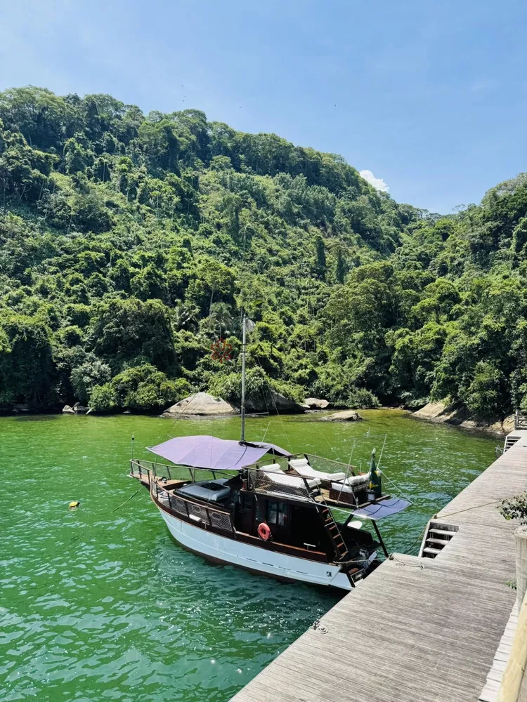 Casa, 4 quartos, 260 m² - Foto 6