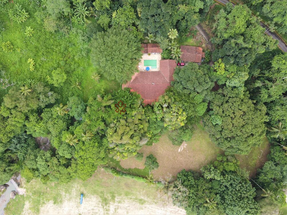 Terreno, 3 hectares - Foto 27