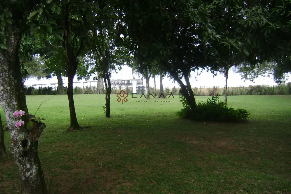 Terreno, 3 hectares - Foto 10