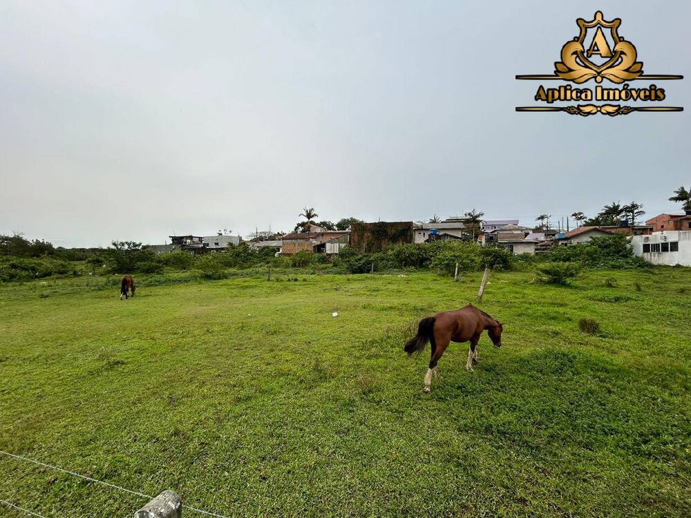 Terreno, 2300 m² - Foto 4