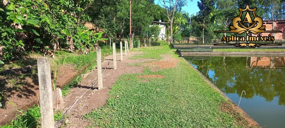 Sítio, 4 quartos, 2 hectares - Foto 13