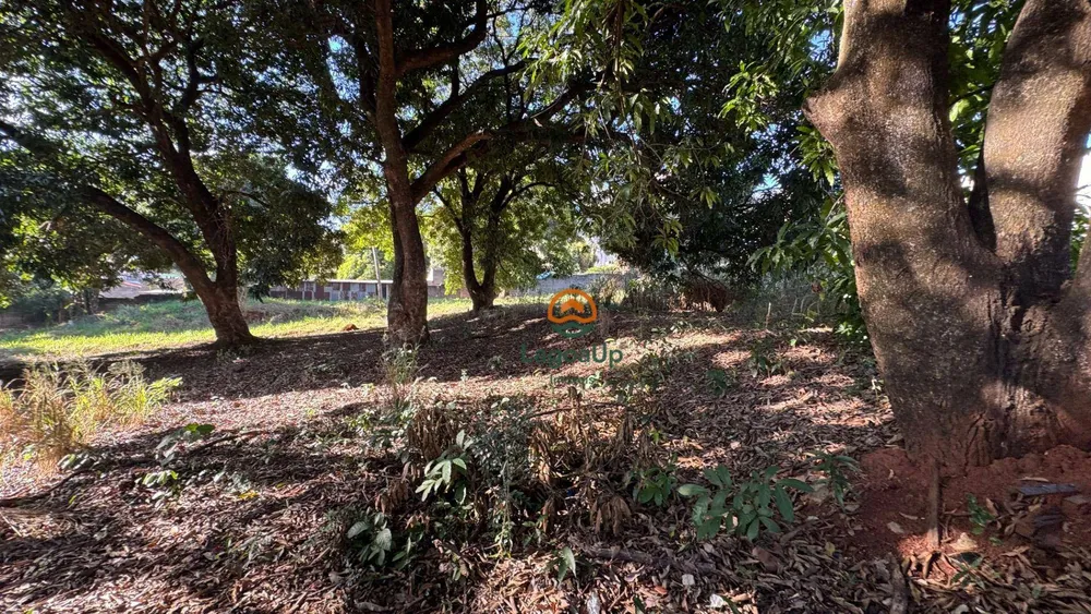 Terreno, 846 m² - Foto 7