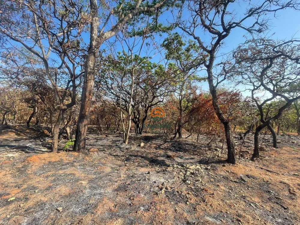 Terreno, 1000 m² - Foto 3