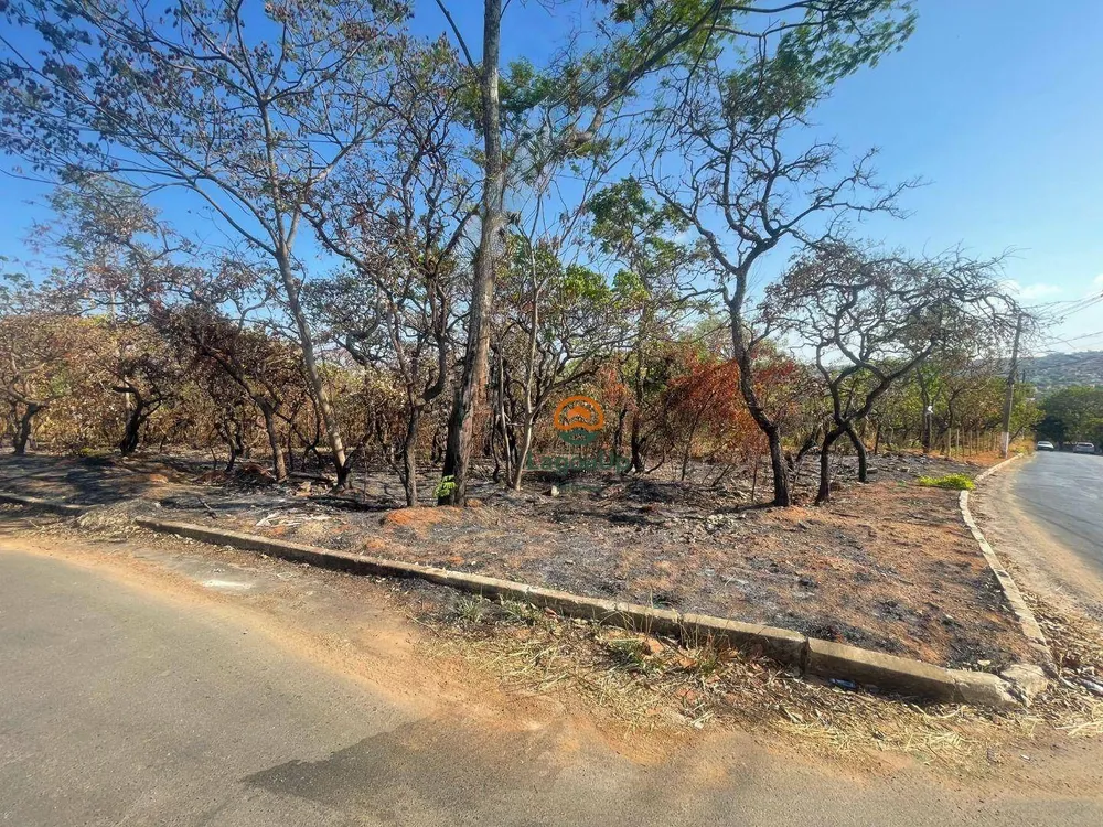 Terreno, 1000 m² - Foto 4