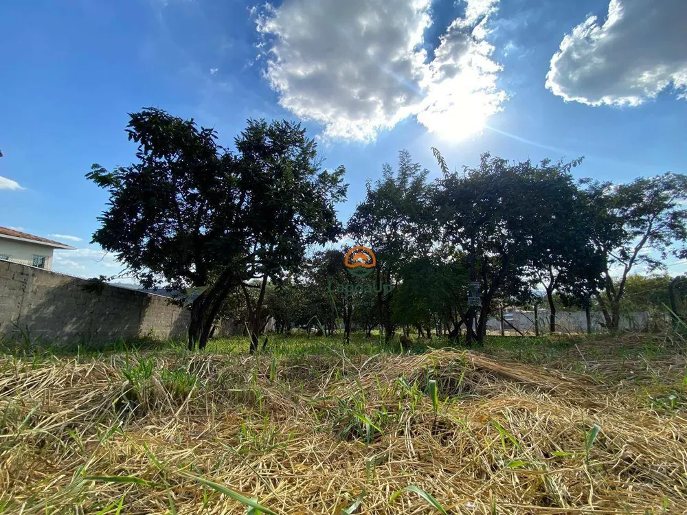 Terreno, 500 m² - Foto 5