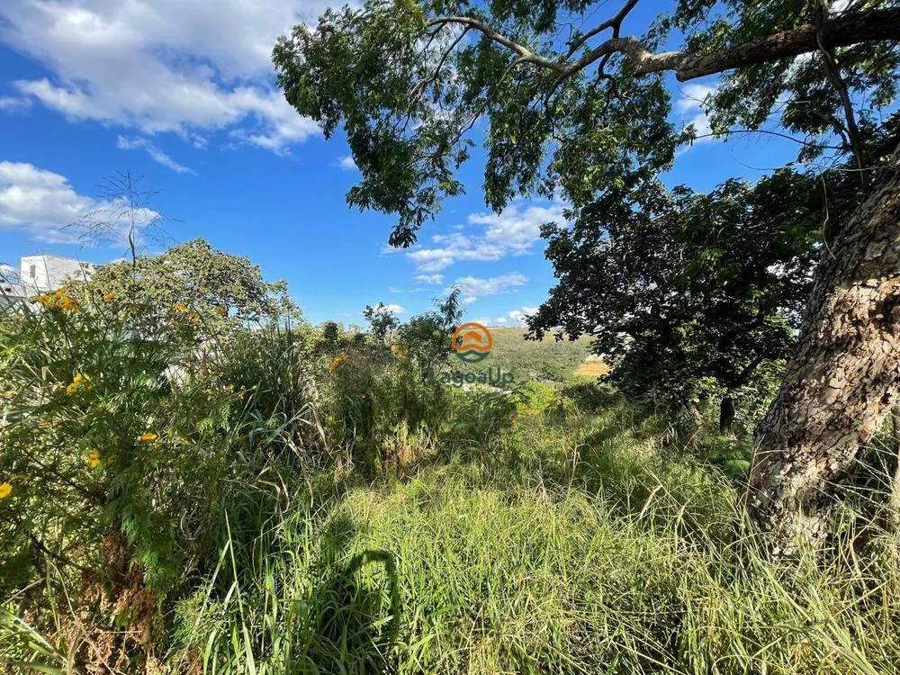 Terreno, 1000 m² - Foto 3