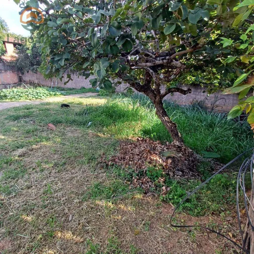 Casa, 5 quartos, 319 m² - Foto 12