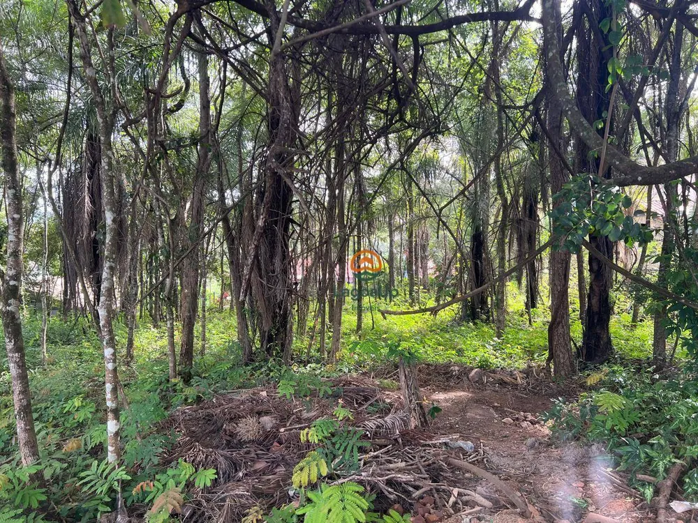 Loteamento e Condomínio, 1000 m² - Foto 2