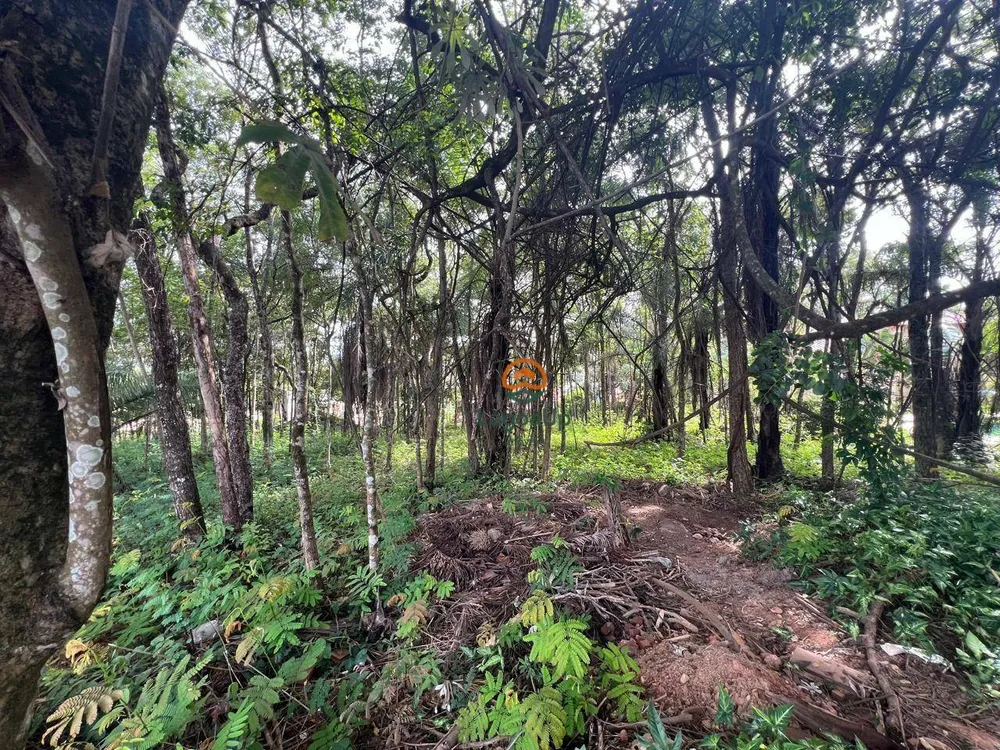 Loteamento e Condomínio, 1000 m² - Foto 3
