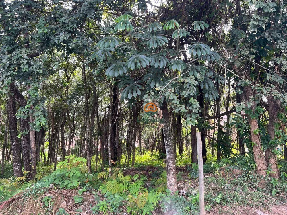 Loteamento e Condomínio, 1000 m² - Foto 5