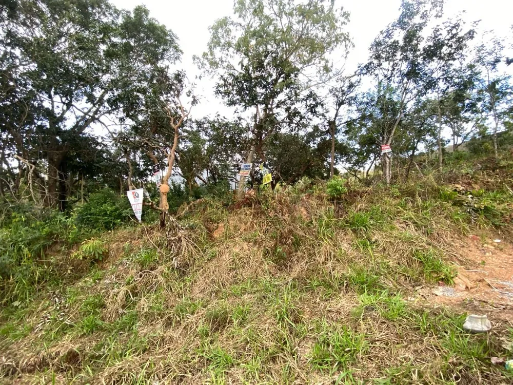Terreno, 533 m² - Foto 10