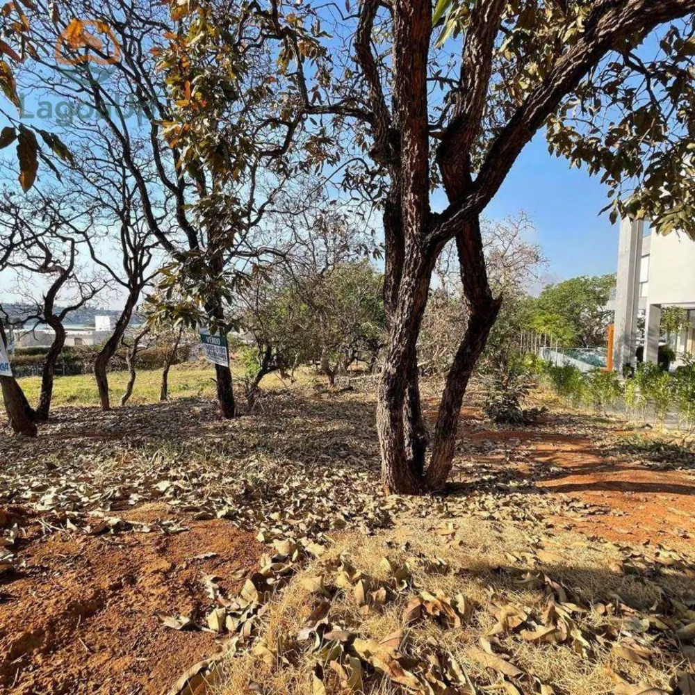 Loteamento e Condomínio, 1000 m² - Foto 3