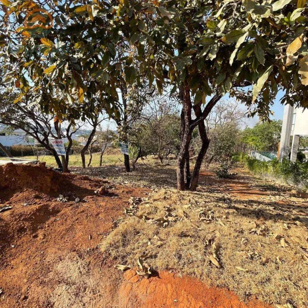 Loteamento e Condomínio, 1000 m² - Foto 2