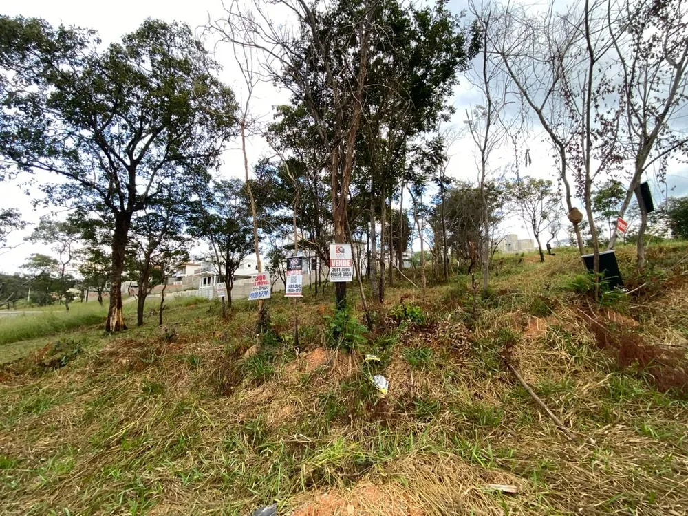 Terreno, 610 m² - Foto 6