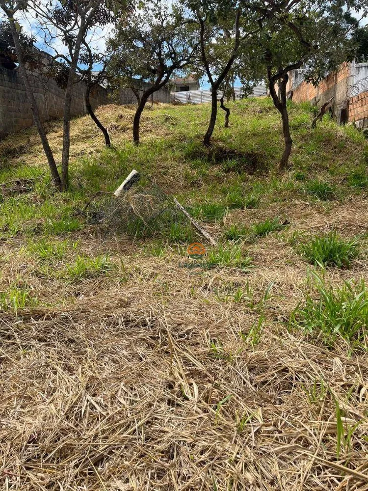 Terreno, 398 m² - Foto 10