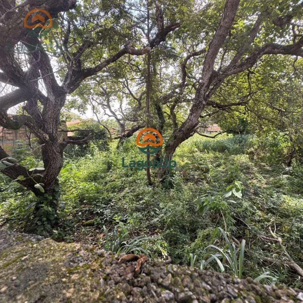 Terreno, 480 m² - Foto 9