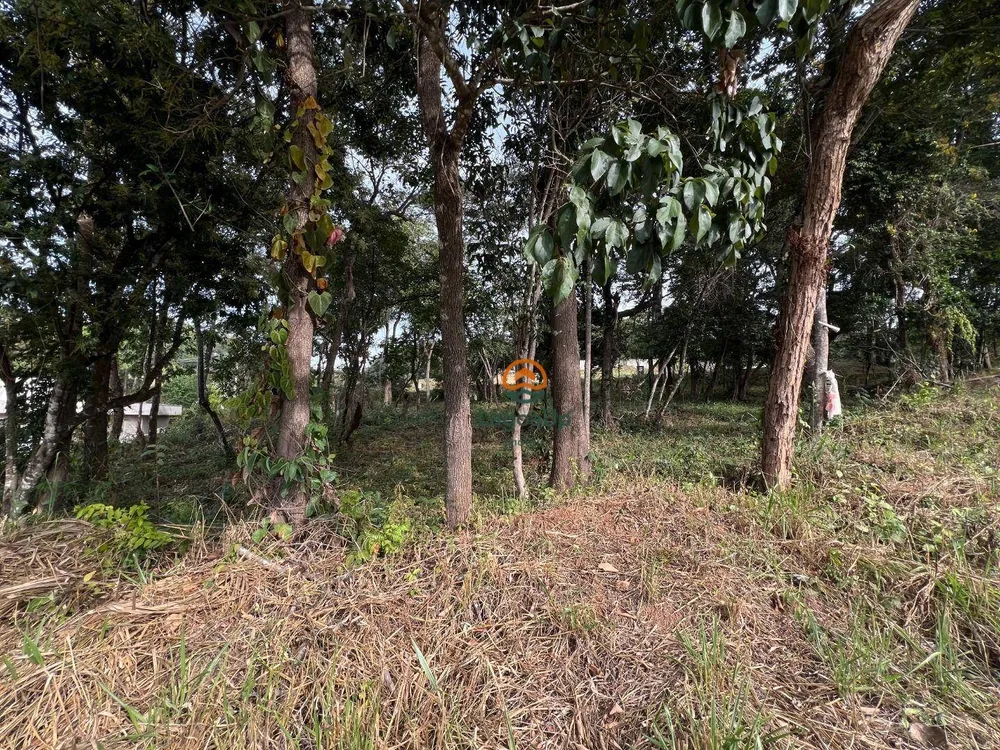 Loteamento e Condomínio, 1000 m² - Foto 8
