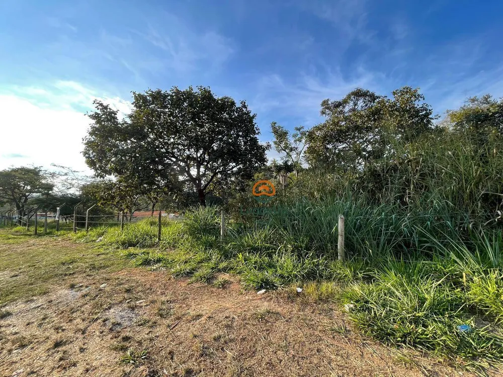 Terreno, 4486 m² - Foto 3