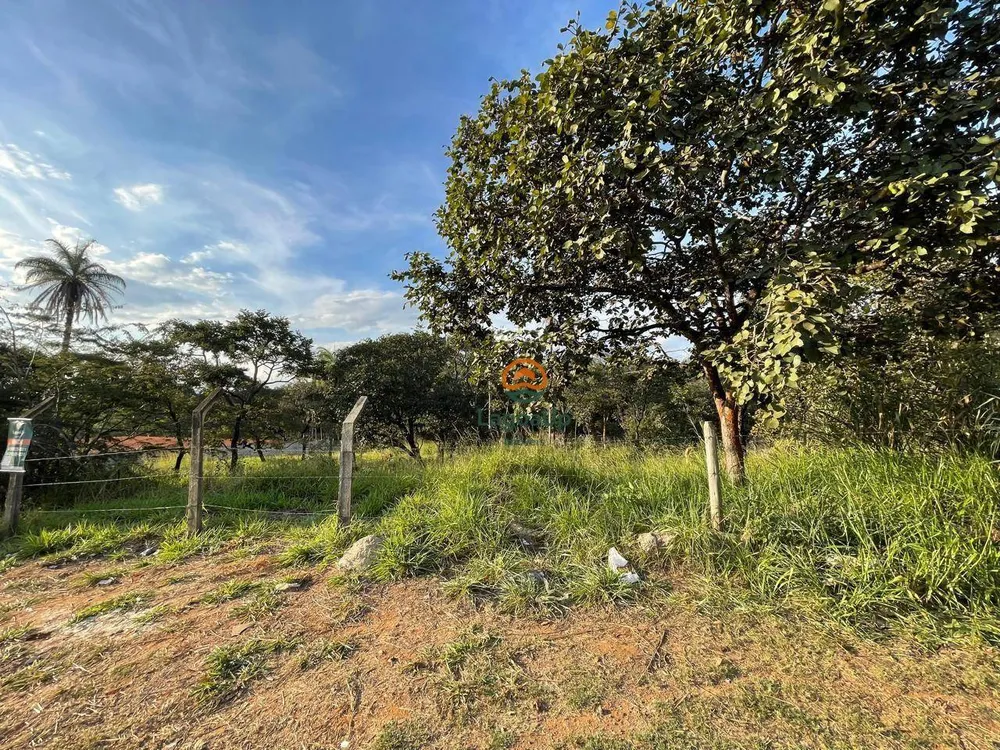 Terreno, 4486 m² - Foto 4
