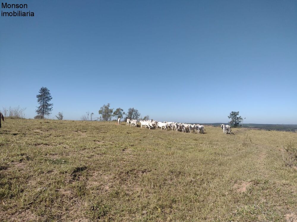 Sítio, 2 quartos - Foto 6