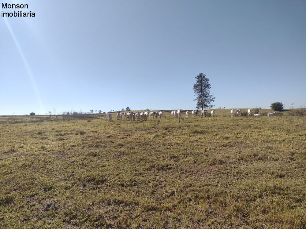 Sítio, 2 quartos - Foto 8