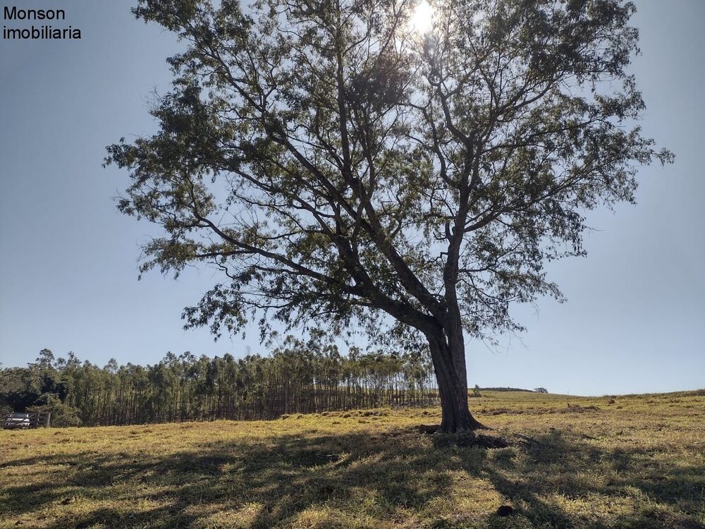 Sítio, 2 quartos - Foto 2