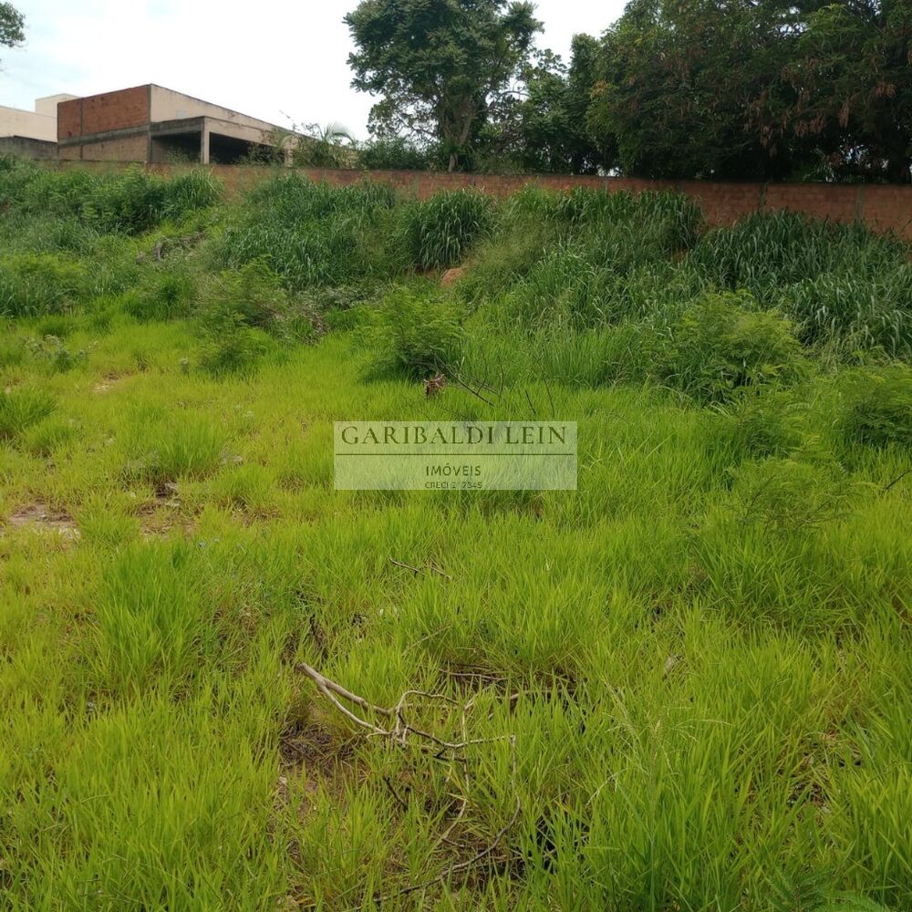 Terreno, 2286 m² - Foto 2