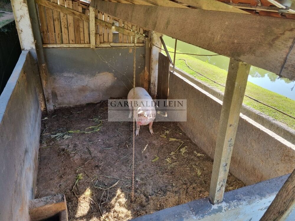Chácara à venda com 2 quartos - Foto 4
