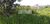 Terreno, 1680 m² - Foto 2