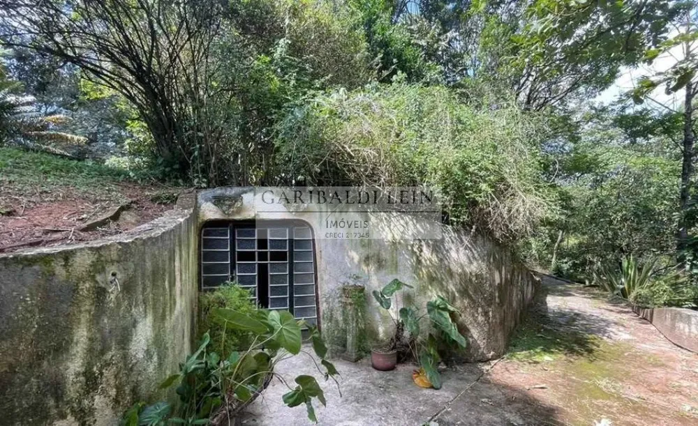 Chácara, 5 quartos, 9840 m² - Foto 4