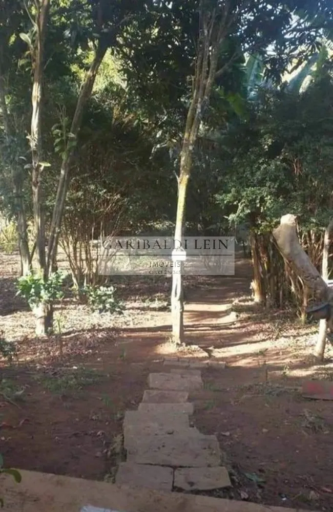 Chácara, 3 quartos, 4300 m² - Foto 10