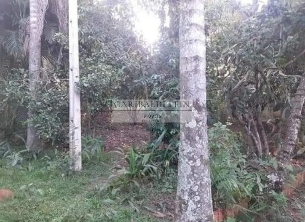 Chácara, 3 quartos, 4300 m² - Foto 11