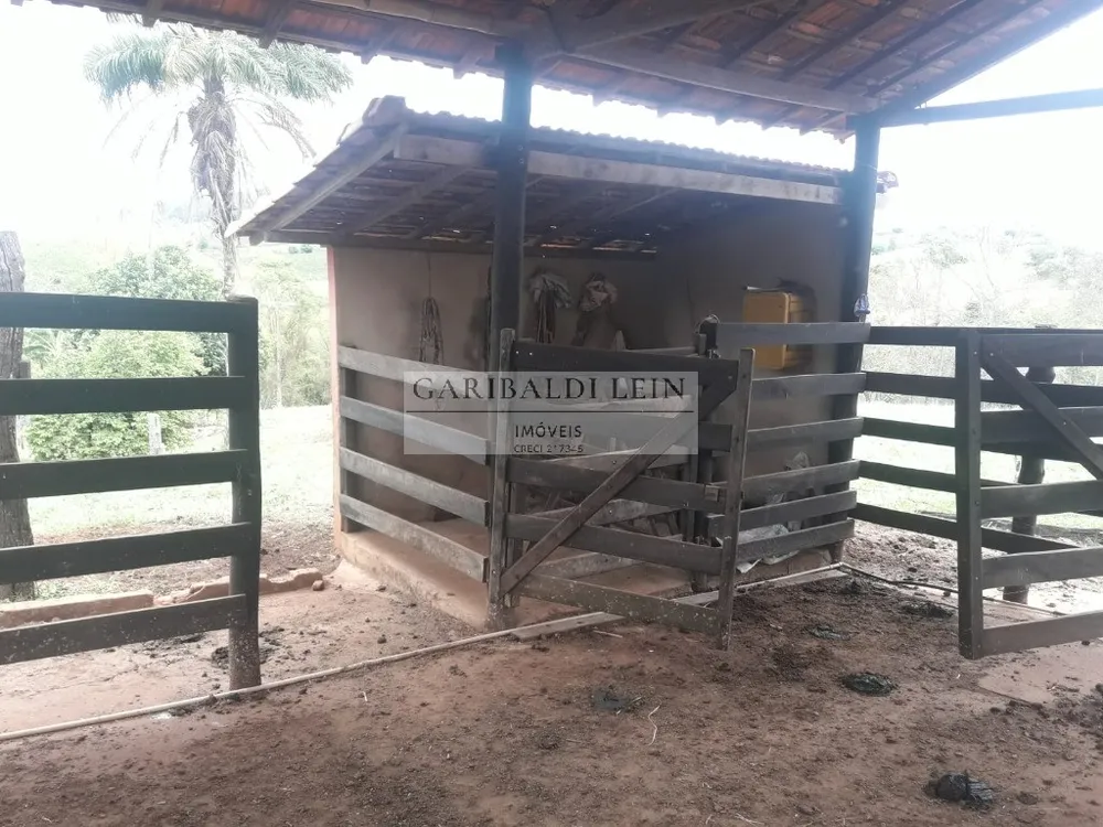Sítio, 4 quartos, 15 hectares - Foto 10