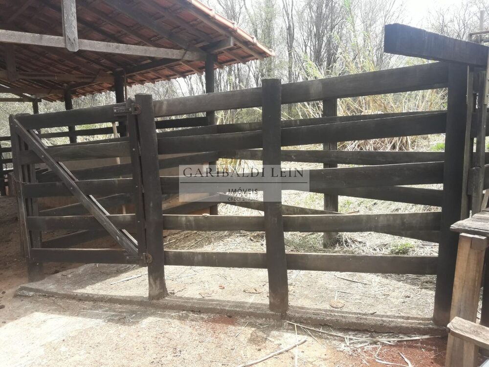 Sítio, 4 quartos, 15 hectares - Foto 7