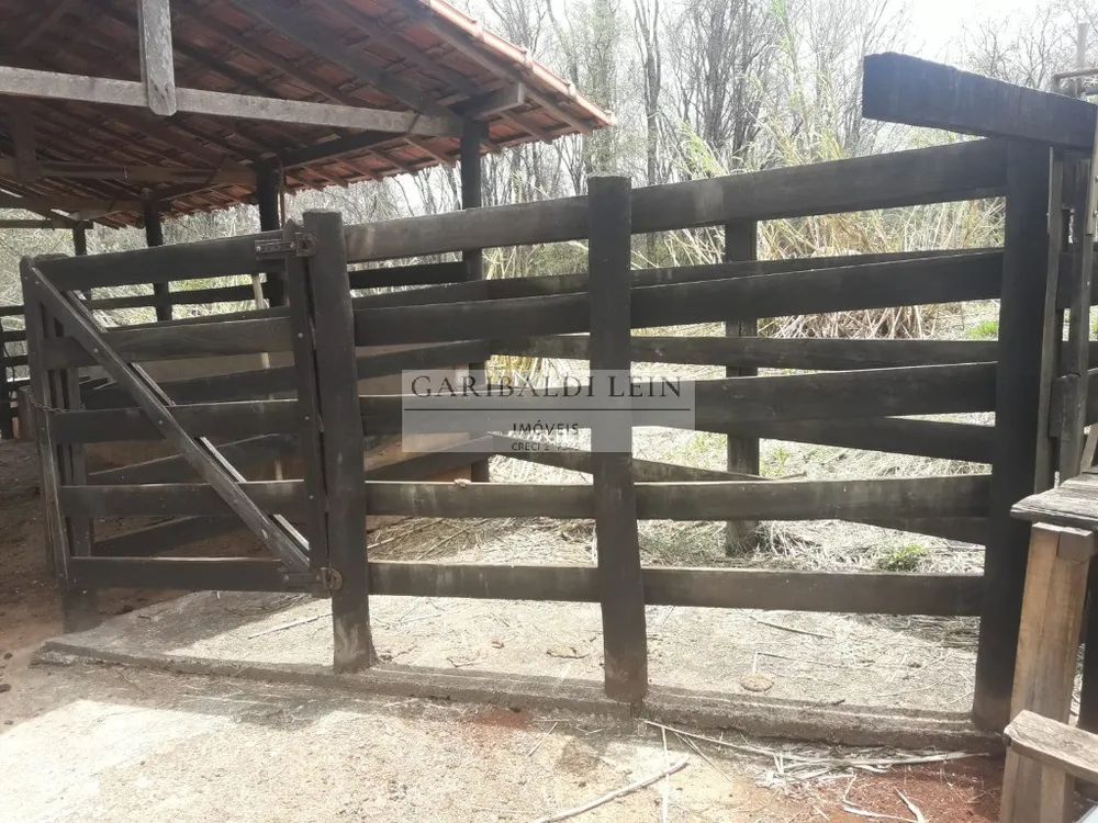 Sítio, 4 quartos, 15 hectares - Foto 11