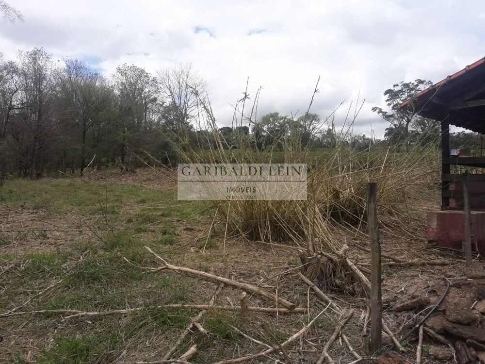Sítio, 4 quartos, 15 hectares - Foto 4