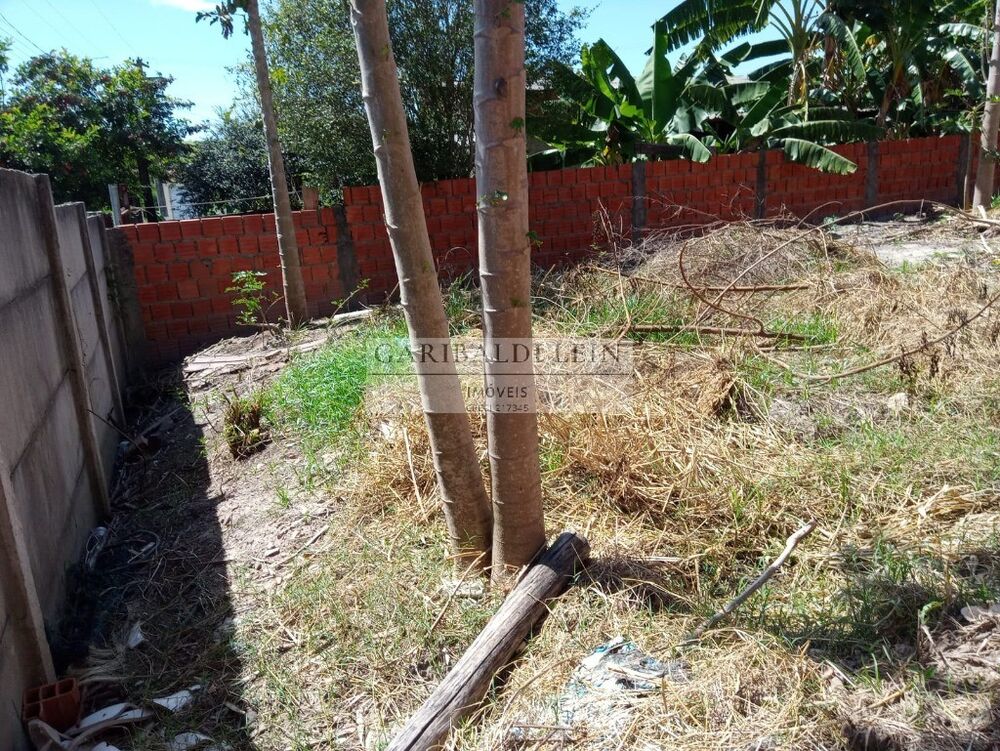 Terreno, 250 m² - Foto 7