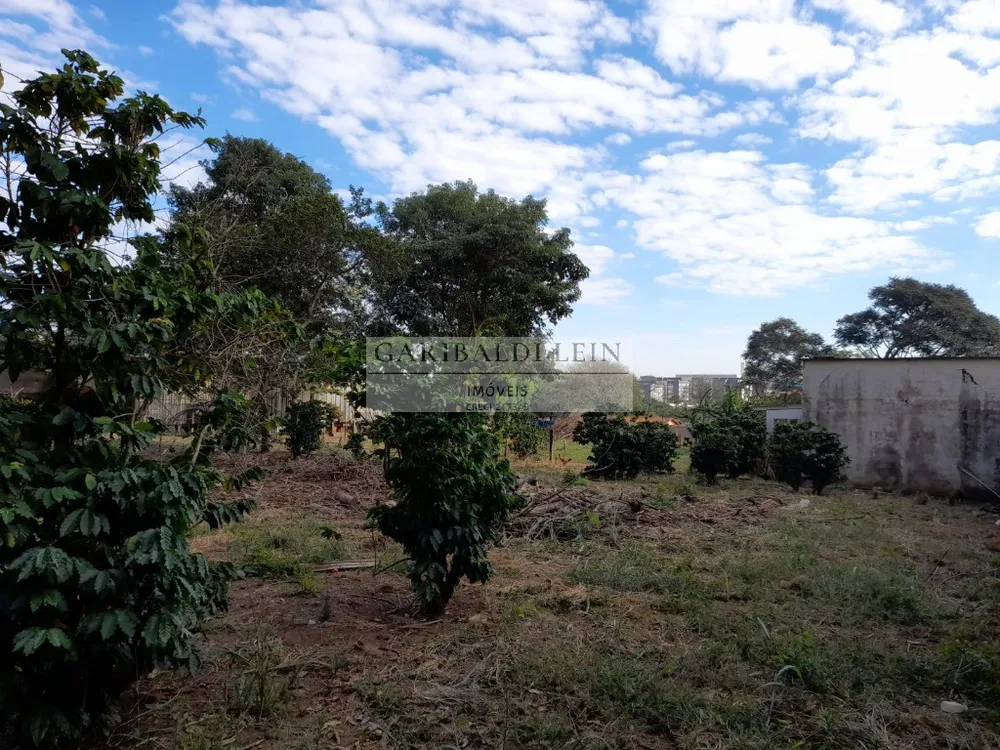 Terreno, 5794 m² - Foto 8