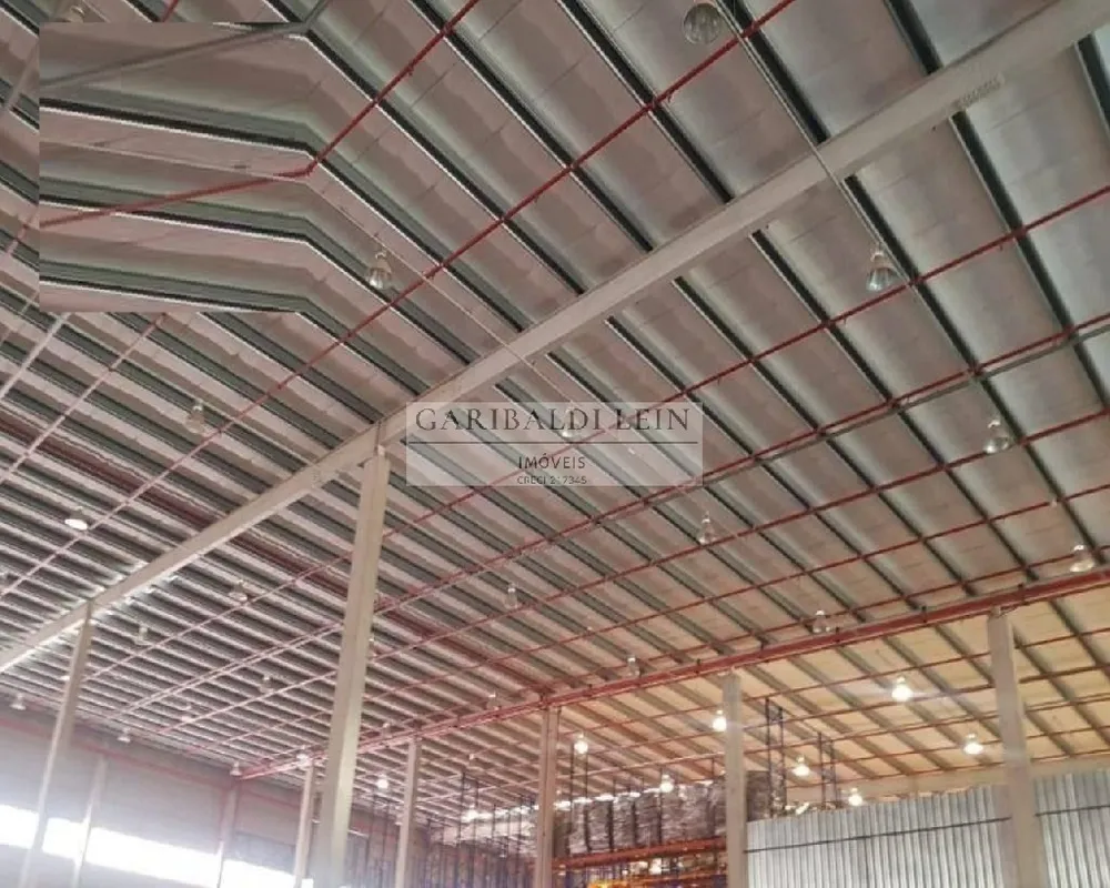 Depósito-Galpão, 4000 m² - Foto 4