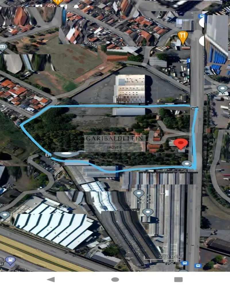 Terreno, 3 hectares - Foto 4