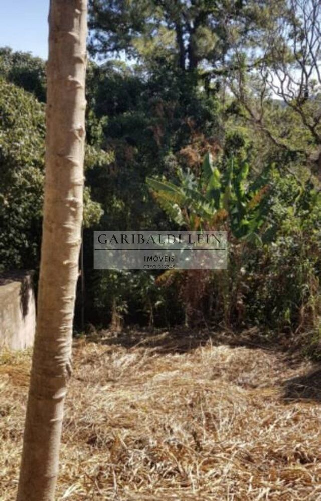 Terreno, 319 m² - Foto 3